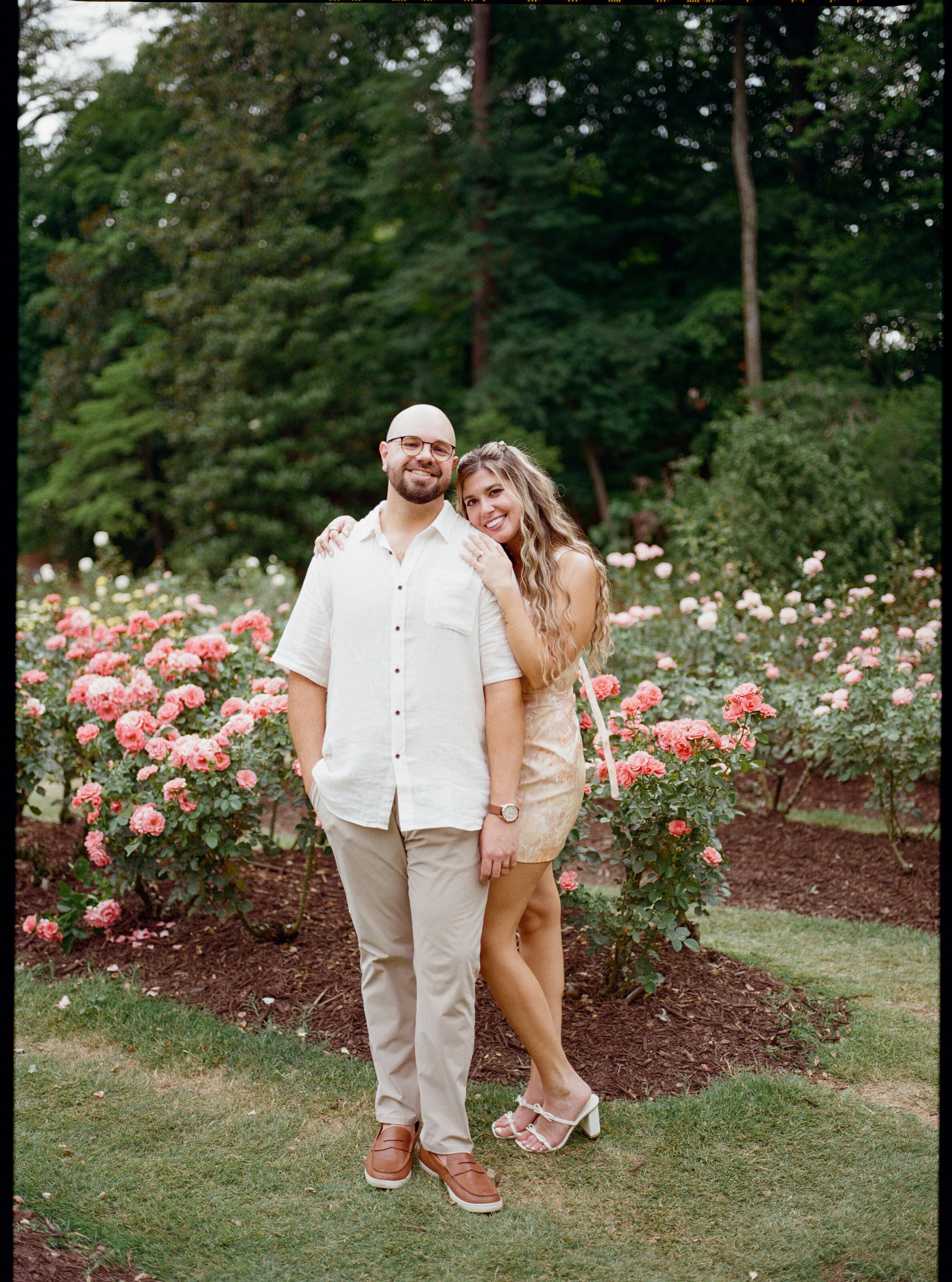 Arm in arm on the grass, with banks of coral and pink roses either side of them.